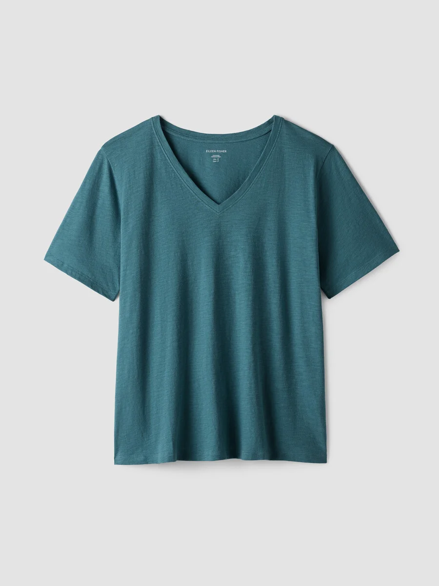 Organic Cotton Slubby Jersey V-Neck Tee - 1