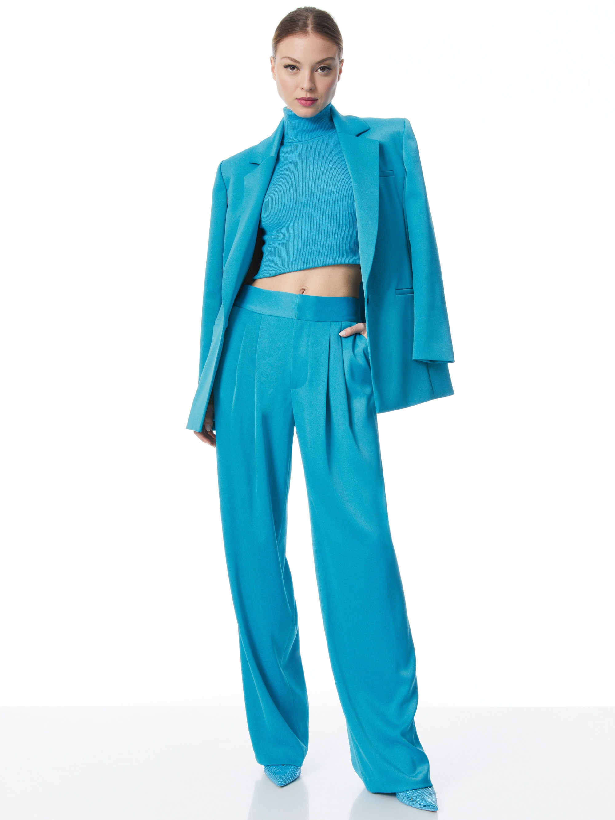 ATIA HIGH WAISTED PLEATED SUIT PANTS - 6