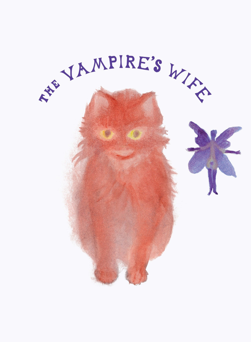 THE FAIRY CAT T SHIRT 3