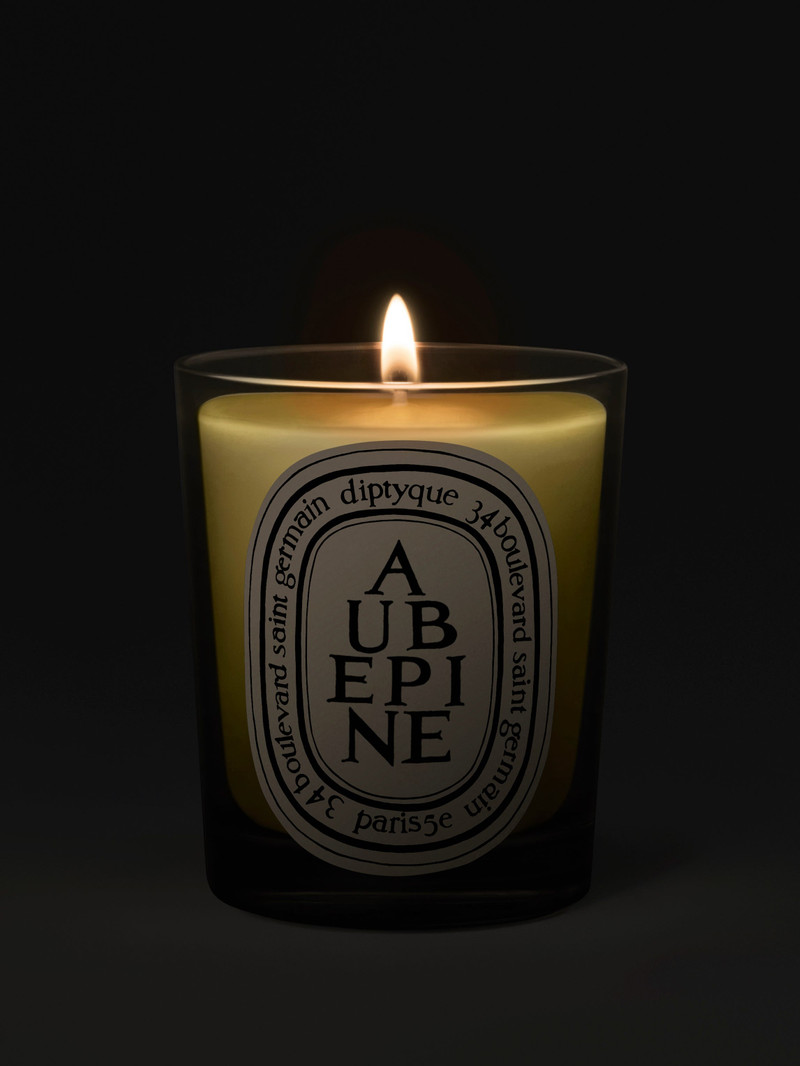 Diptyque Aubépine (Hawthorn) - Classic Candle outlook