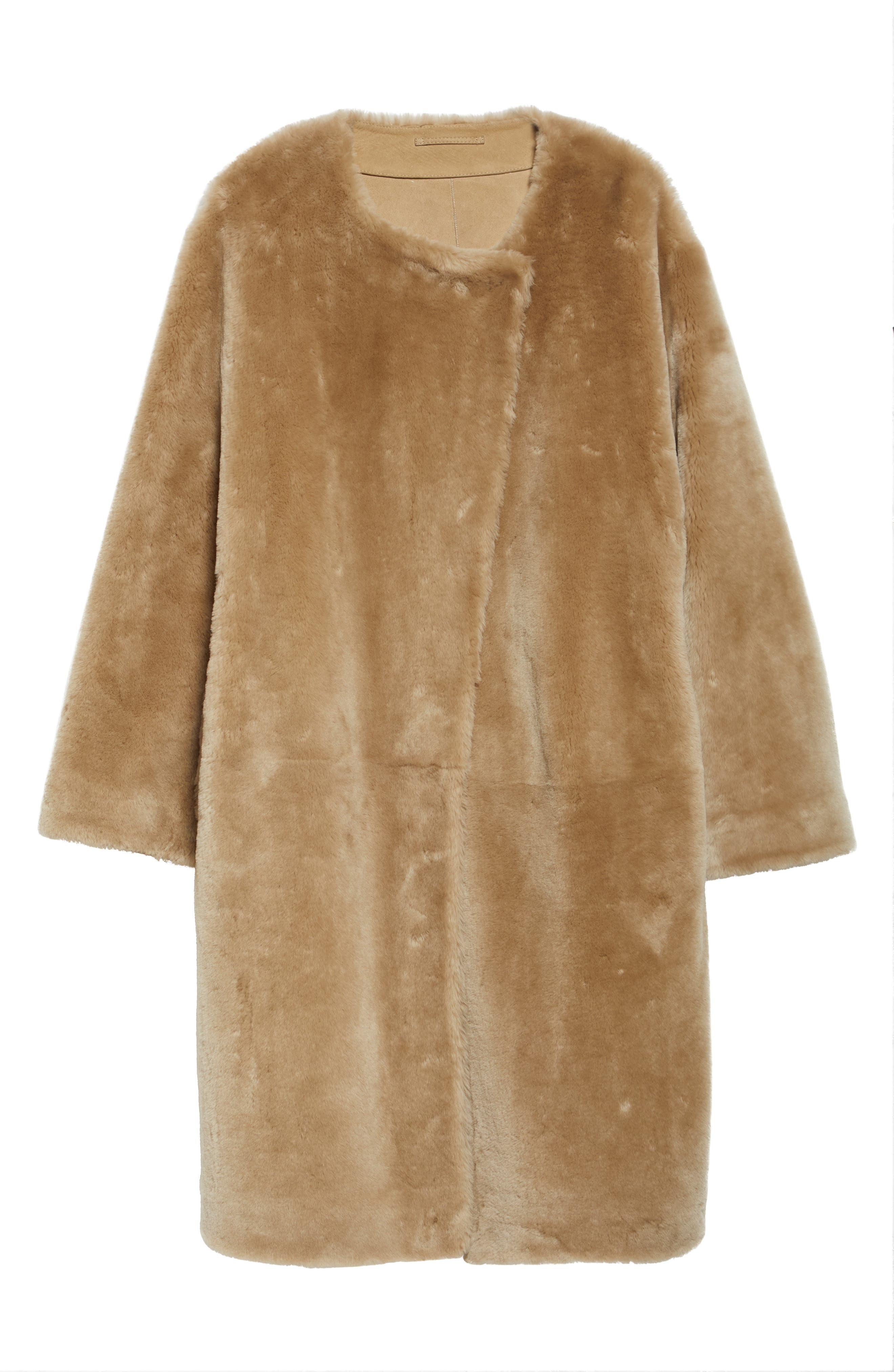 TOTEME Collarless Genuine Shearling Coat in Rye at Nordstrom - 7