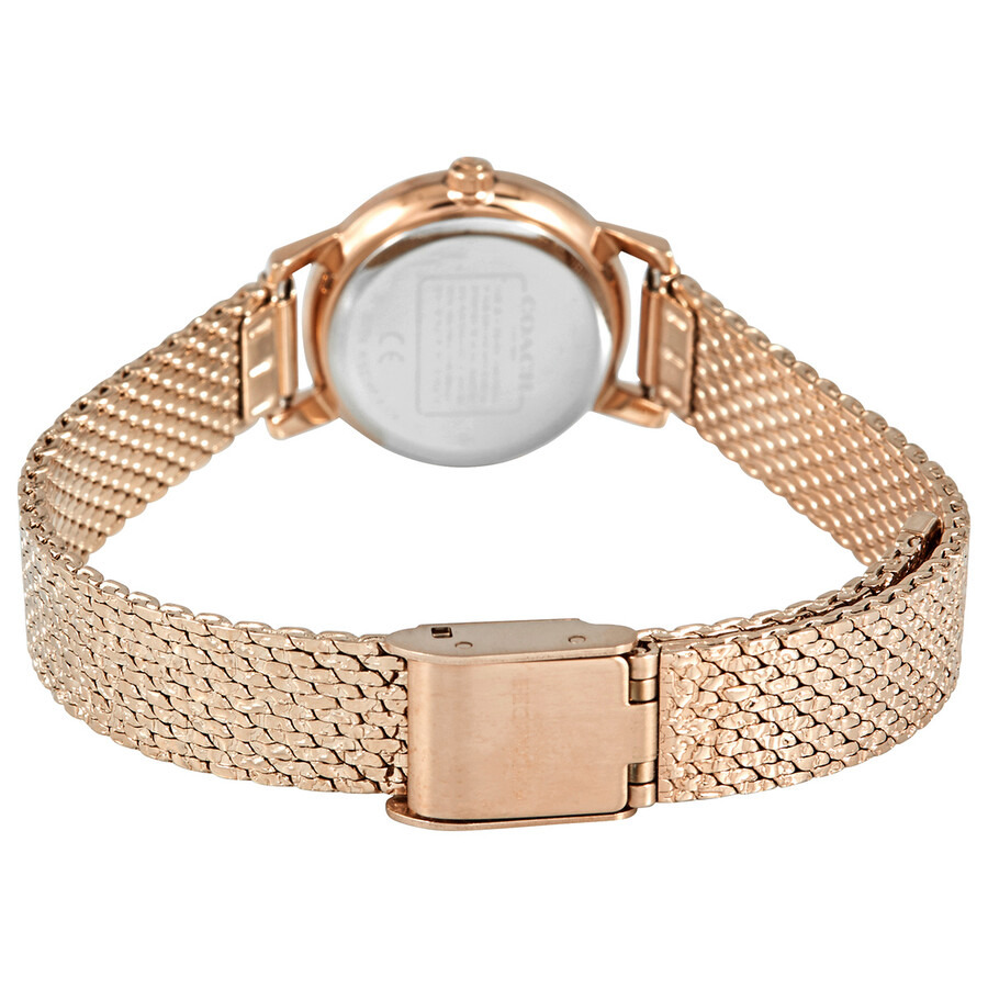 Coach Audrey Quartz Crystal Mother of Pearl Dial Ladies Watch 14503372 - 3