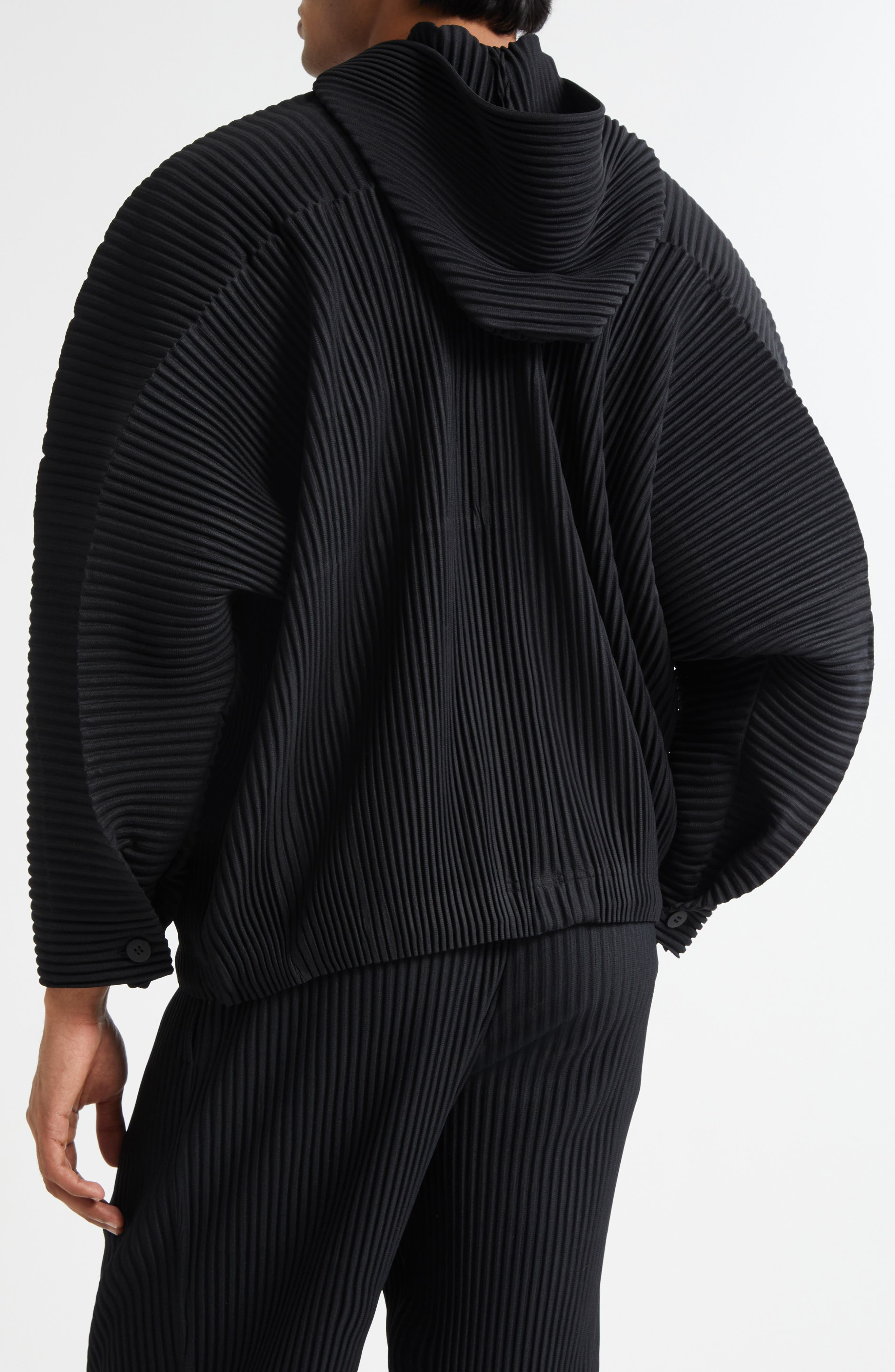 Homme Plissé Issey Miyake Monthly Colors May Pleated Hooded Jacket in Black at Nordstrom - 2