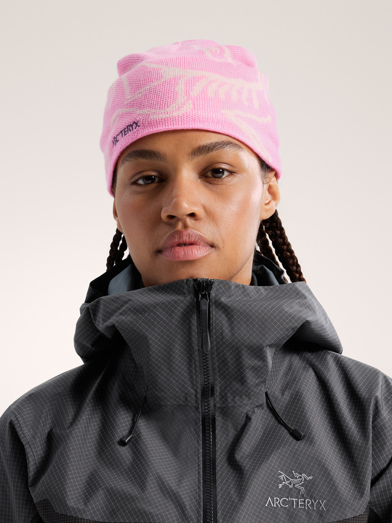 Arc'teryx Bird Head Toque outlook