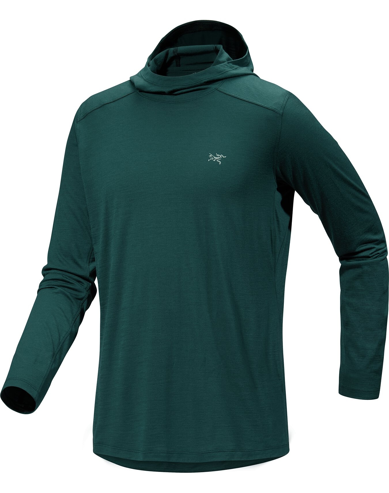 Ionia Merino Wool Hoody - 1