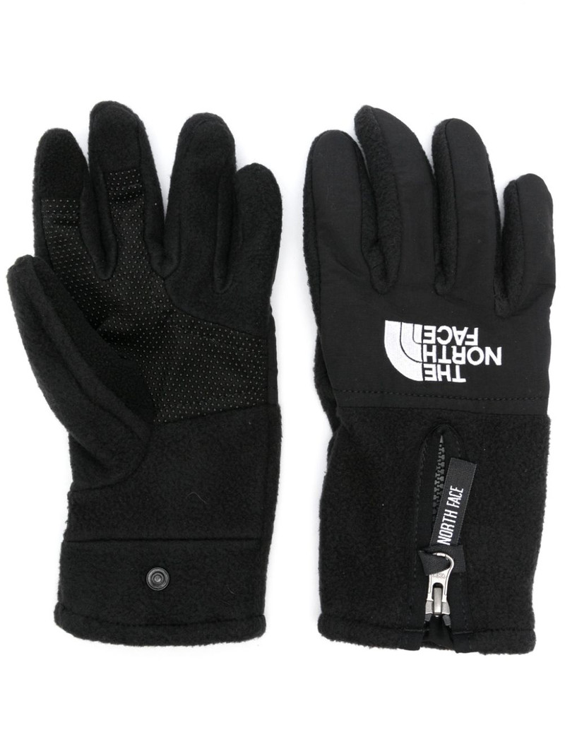 Denali E-tip gloves 1
