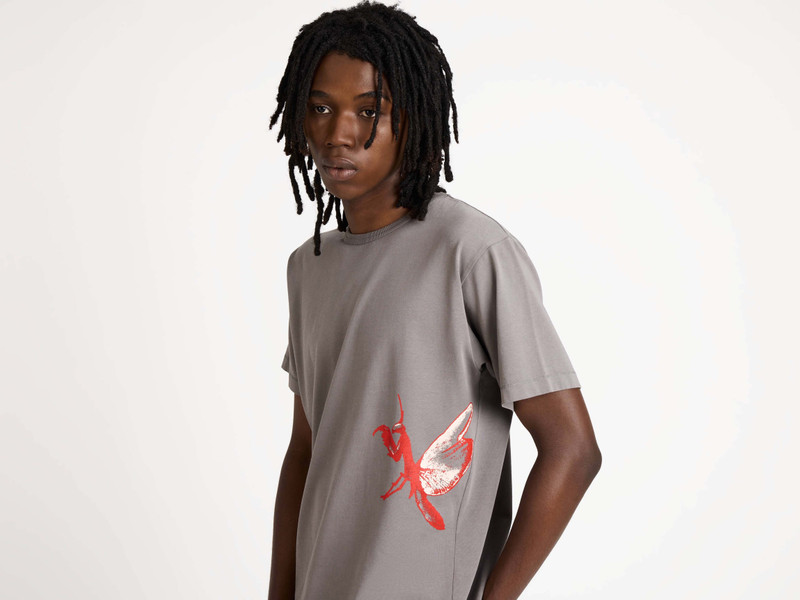 MENS PRAYING MANTIS T-SHIRT IN GREY 4