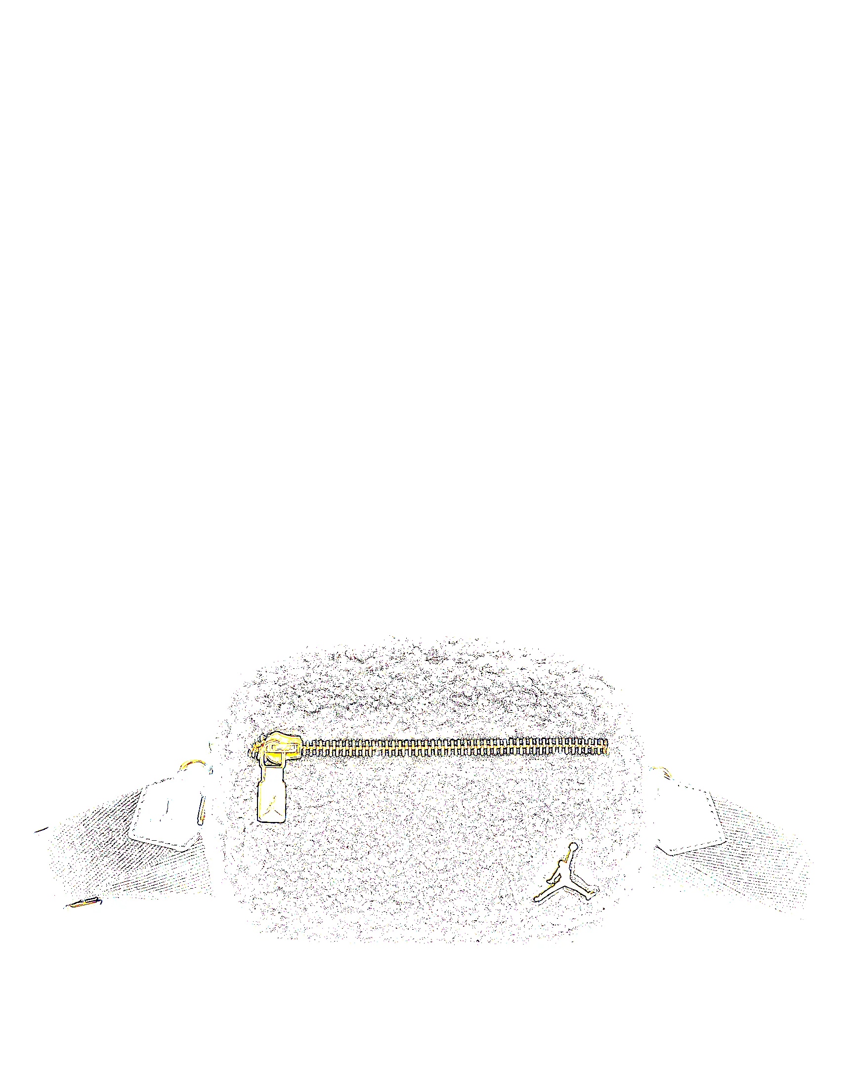 Jordan Monarch High-Pile Camera Bag (1L) - 1