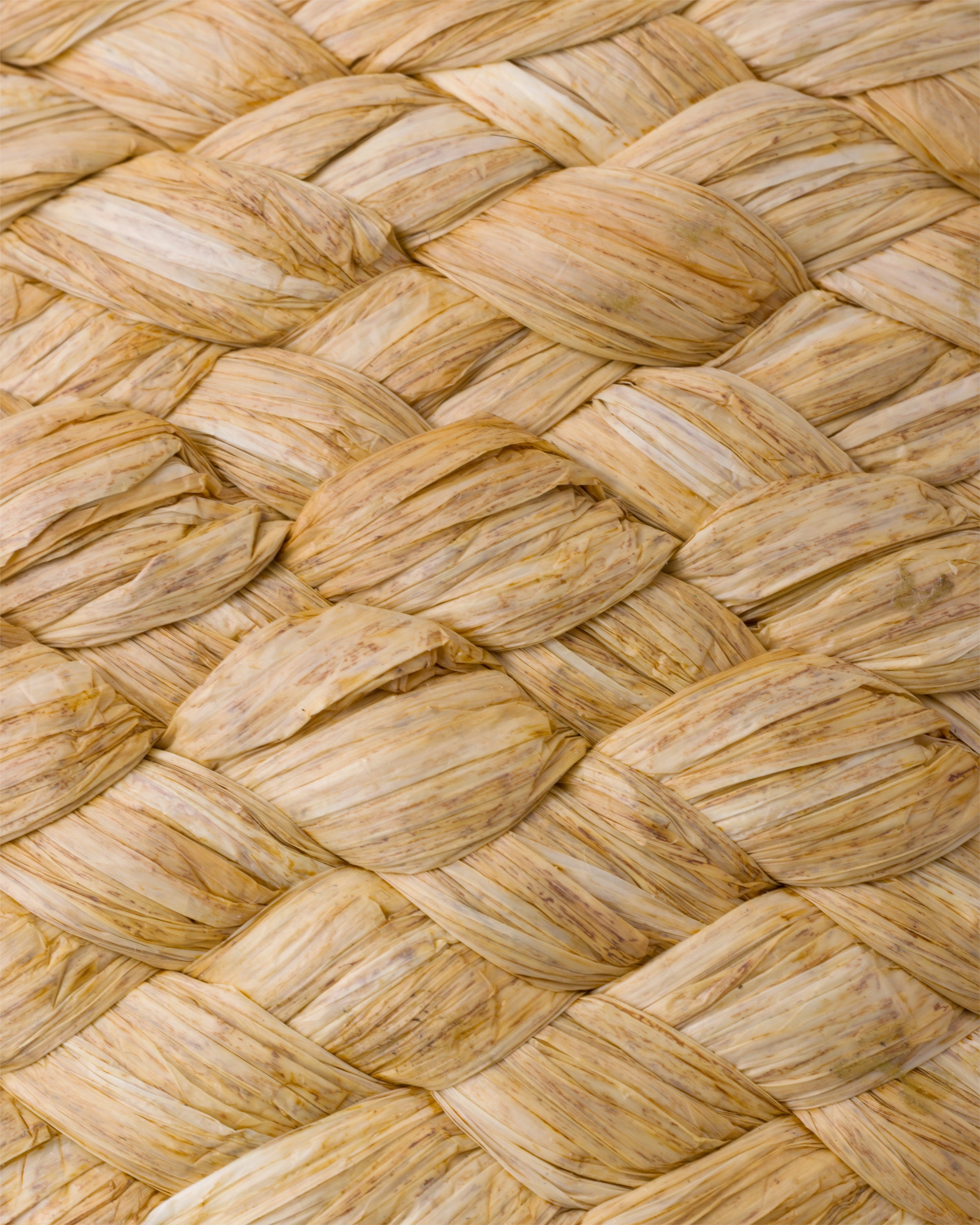 Raffia slides - 5