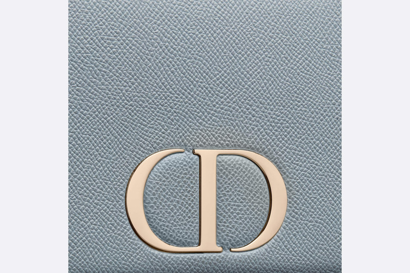 2-in-1 30 Montaigne Pouch 6