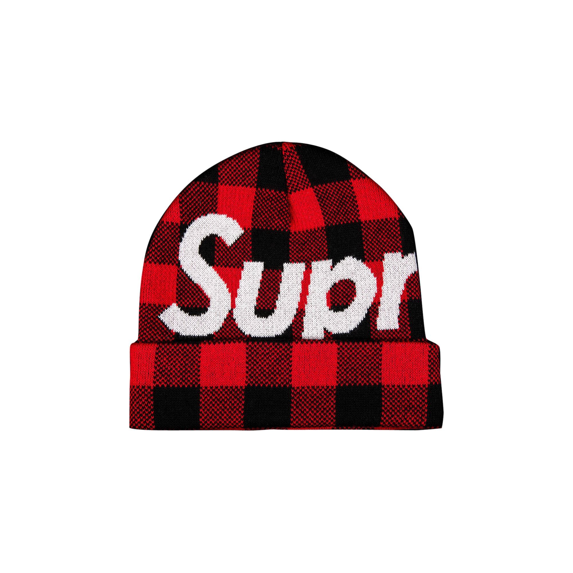 Big Logo beanie