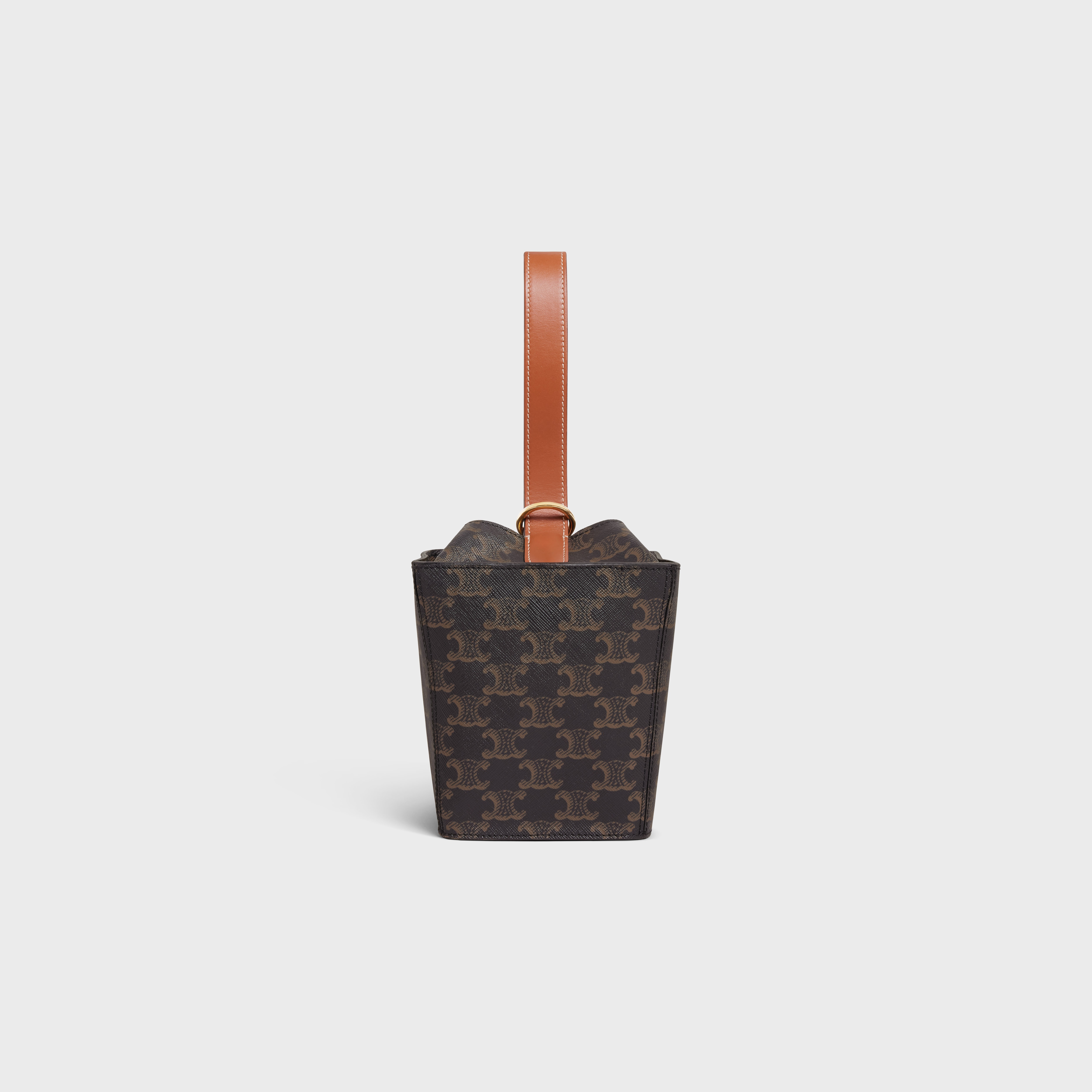 STRAP BOX in Triomphe Canvas and calfskin - 3