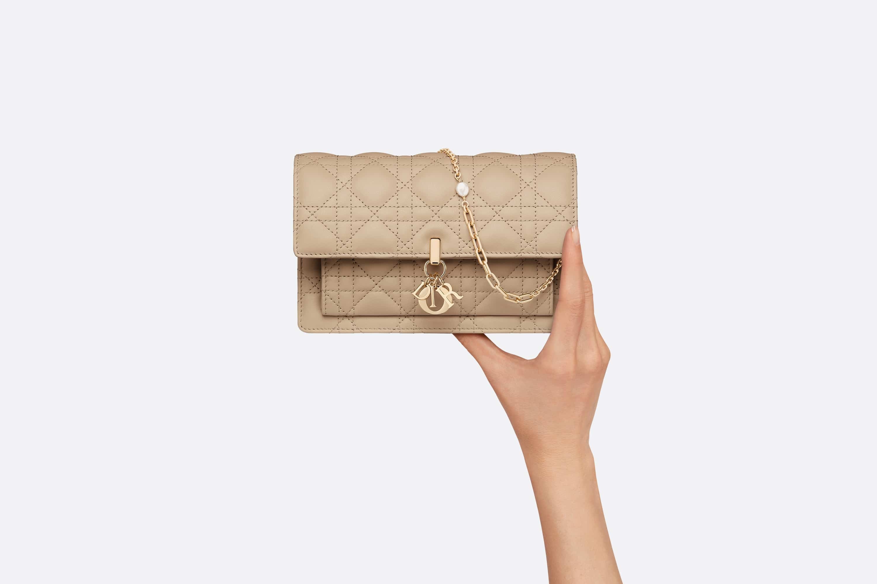 Lady Dior Chain Pouch - 6