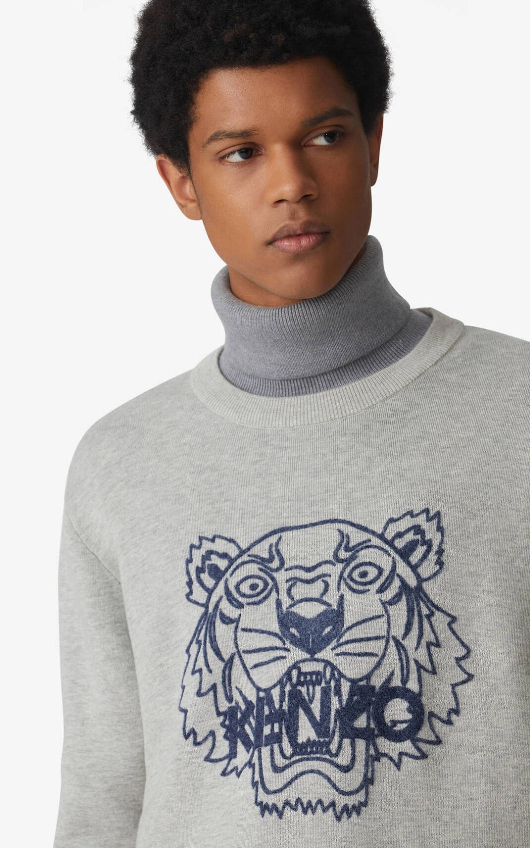 Tiger jumper - 3