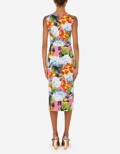 Dolce & Gabbana Hydrangea-print cady midi dress outlook