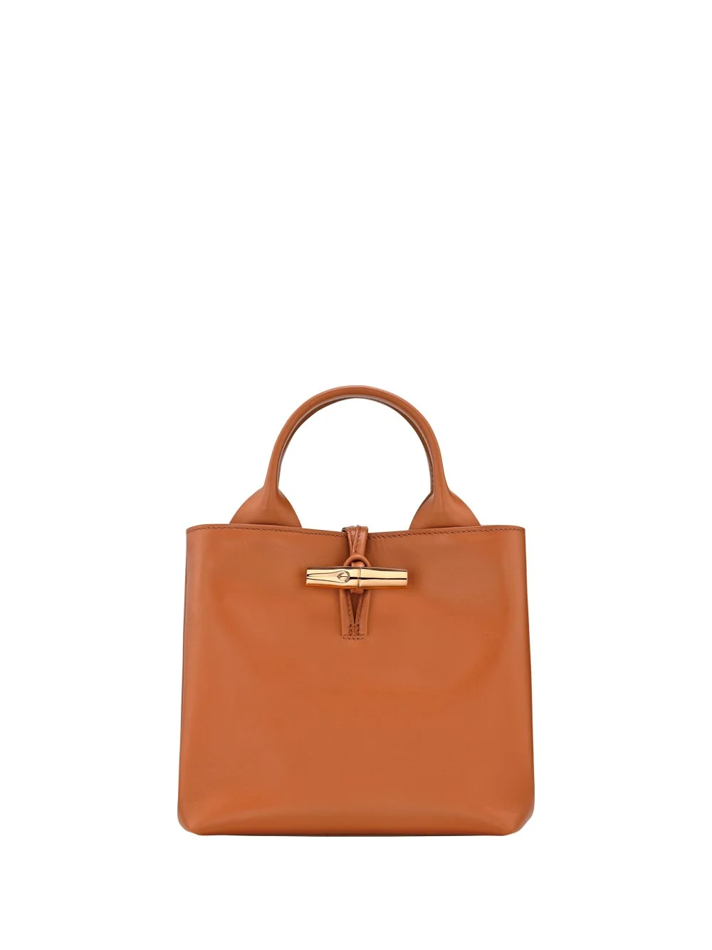 `Le Roseau Sleek` Small Handbag - 1