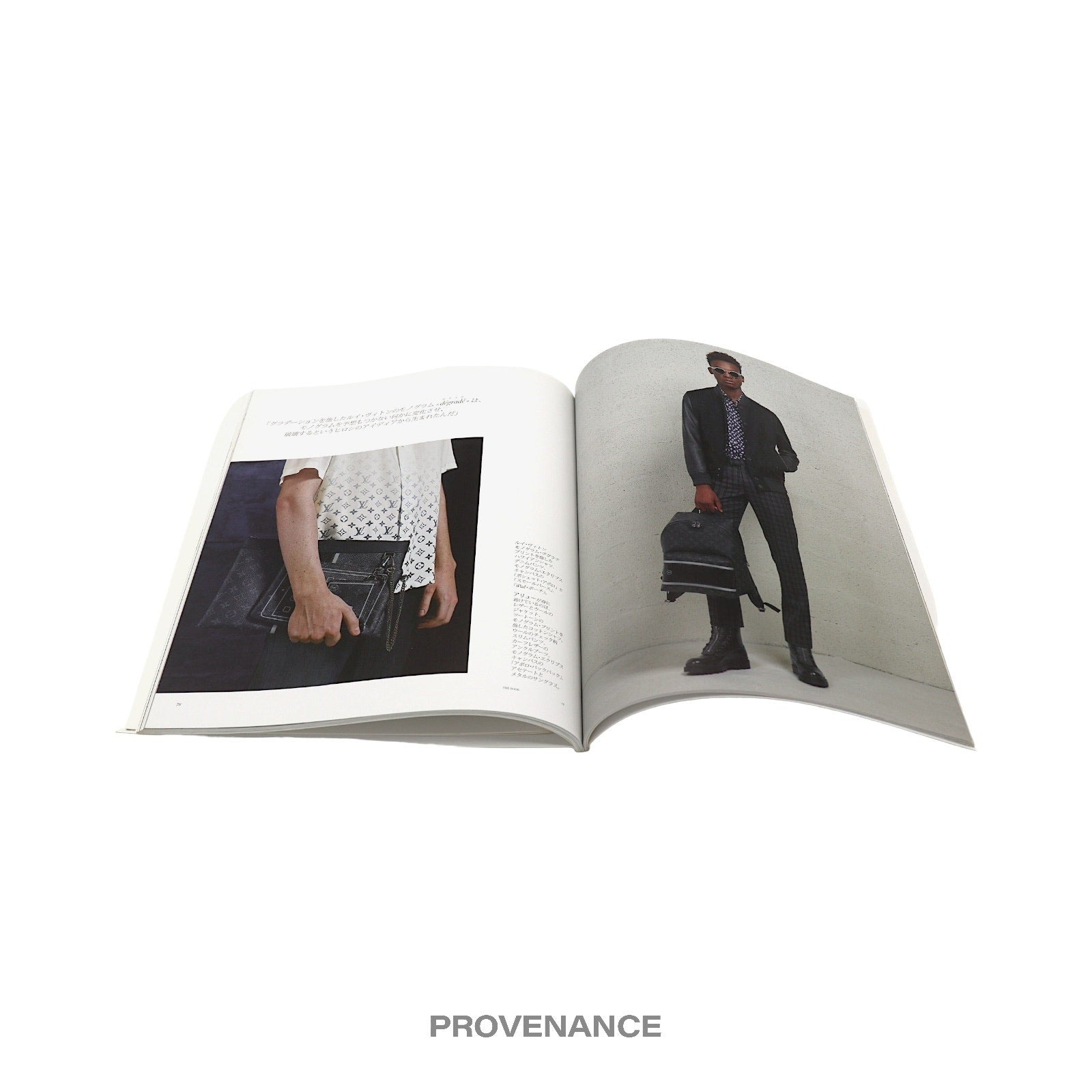 Louis Vuitton The Book #6 -  KOONS SUPREME - 11