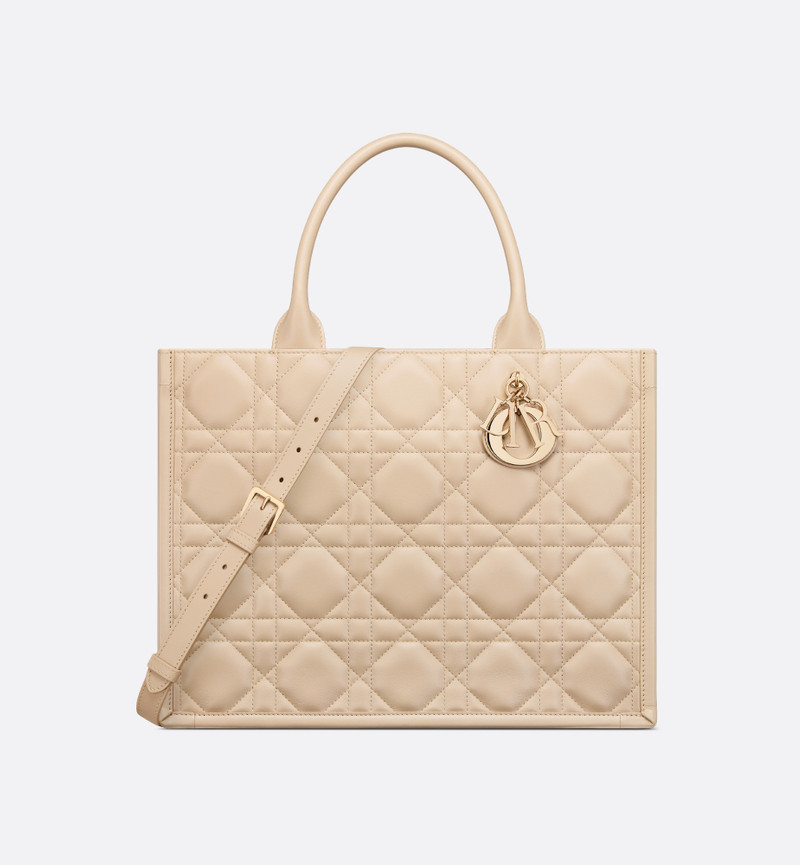 Medium Dior Book Tote 1