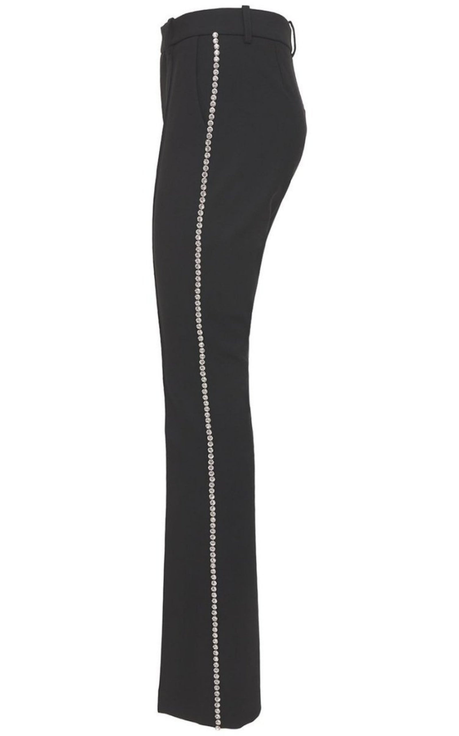 Fitted Jeweled Pants - 6