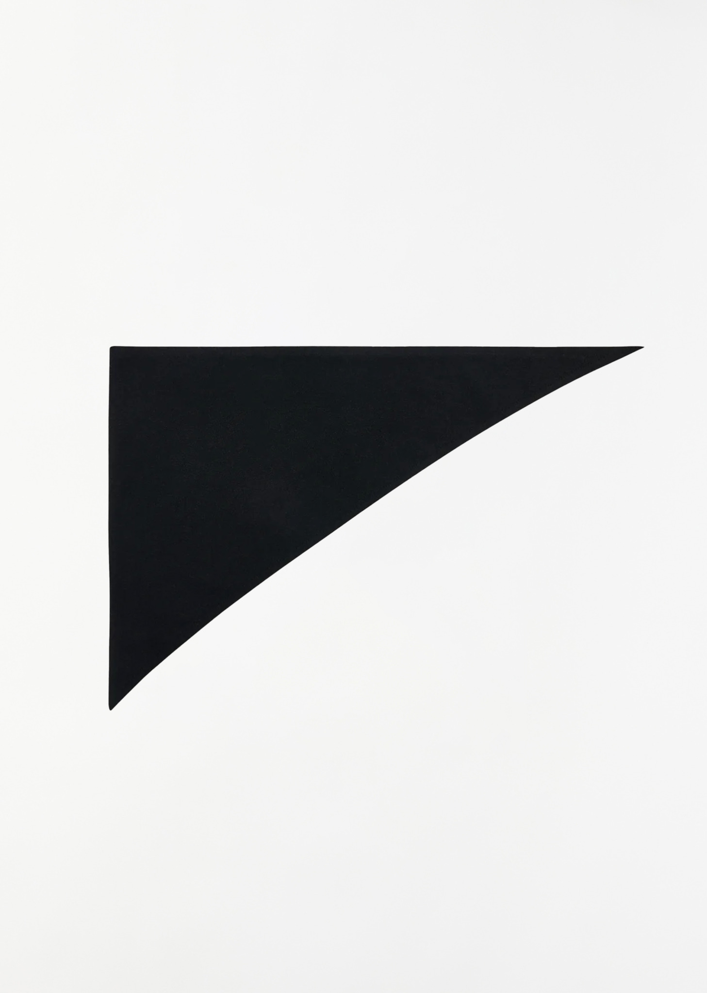 Leomine Cashmere Scarf — Black - 1