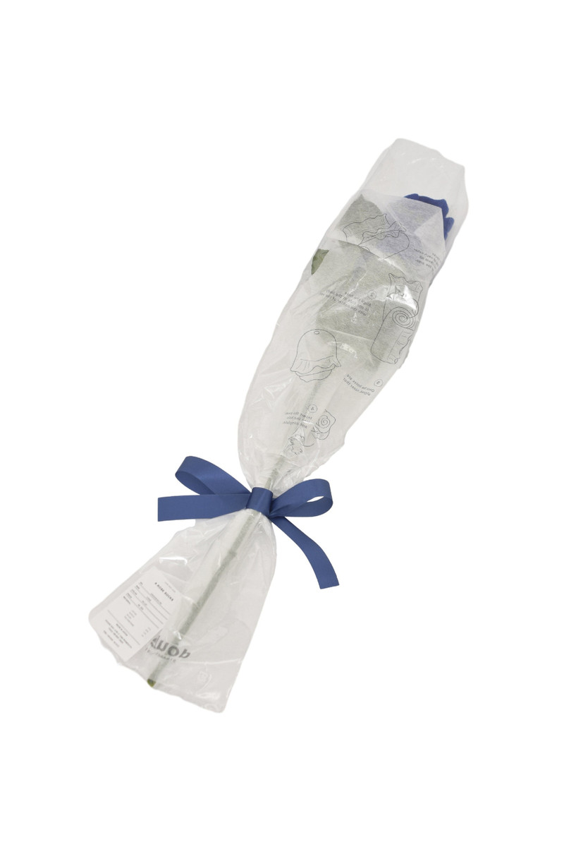 A ROSE SOCKS / BLU 6