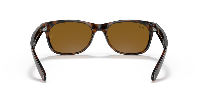 NEW WAYFARER CLASSIC 6