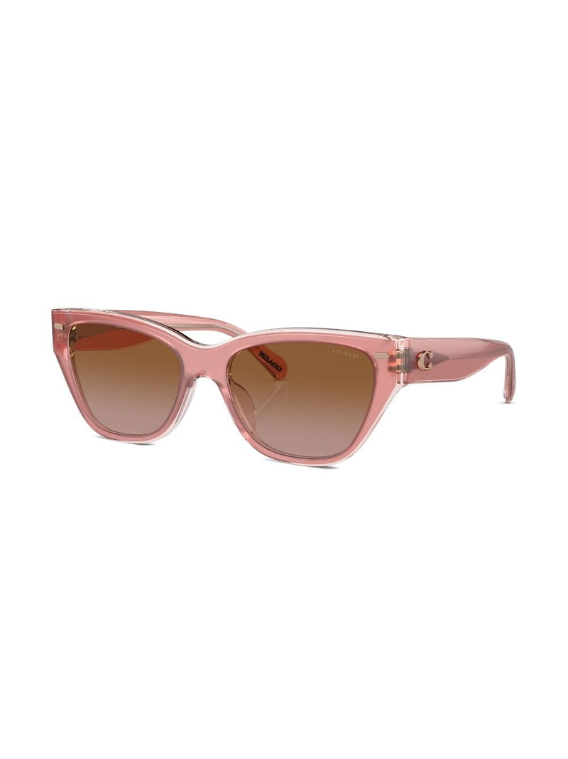 COACH cat eye sunglasses outlook
