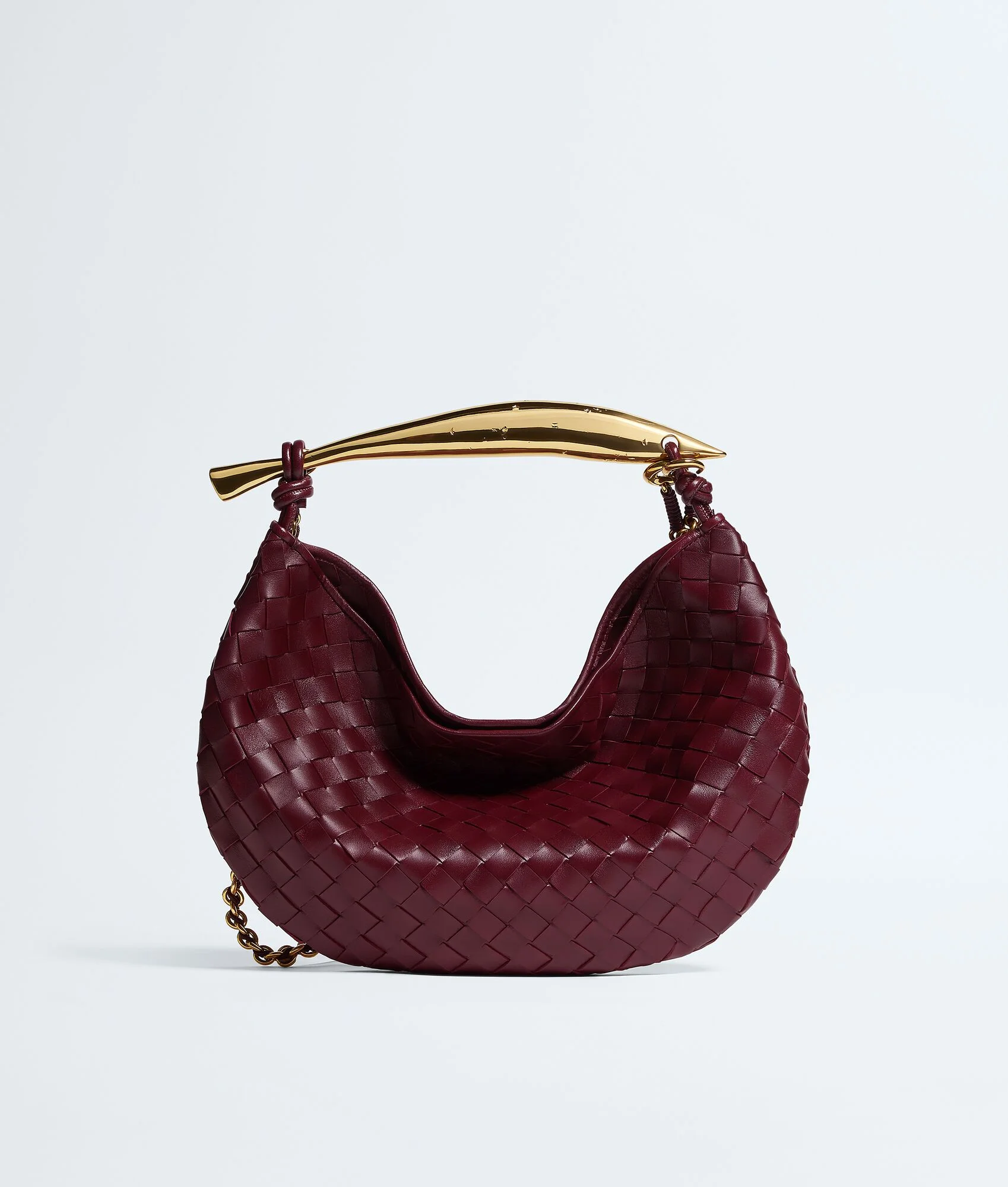 Sardine With Chain - 1