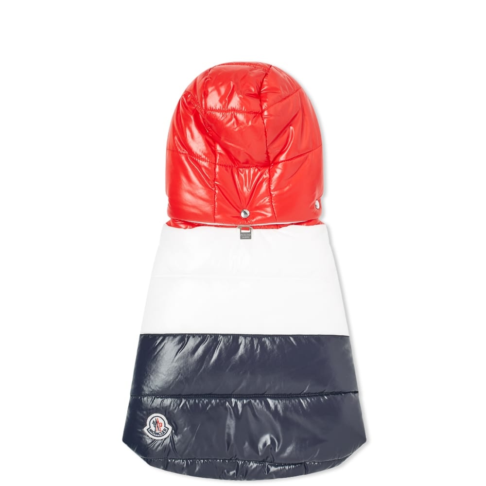 Moncler Genius x Poldo Tricolour Dog Down Jacket - 3