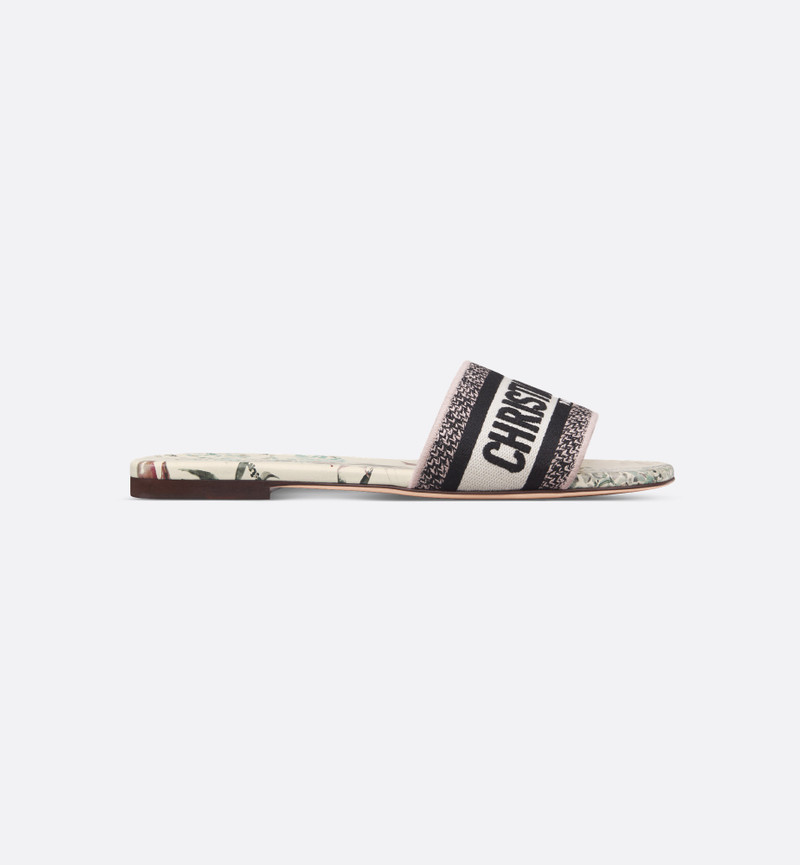 Dior Dway Slide outlook