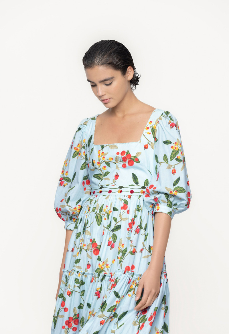Miel Frutal Midi Dress 5