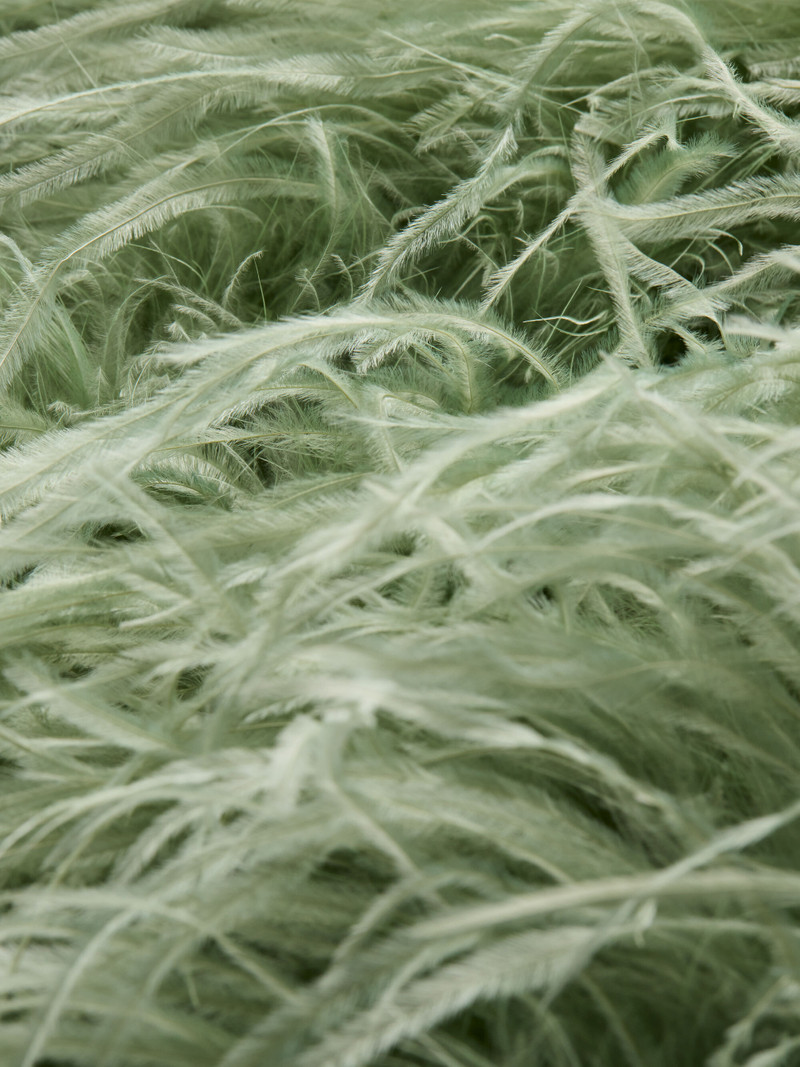 CHANDA FEATHERED VEST 3