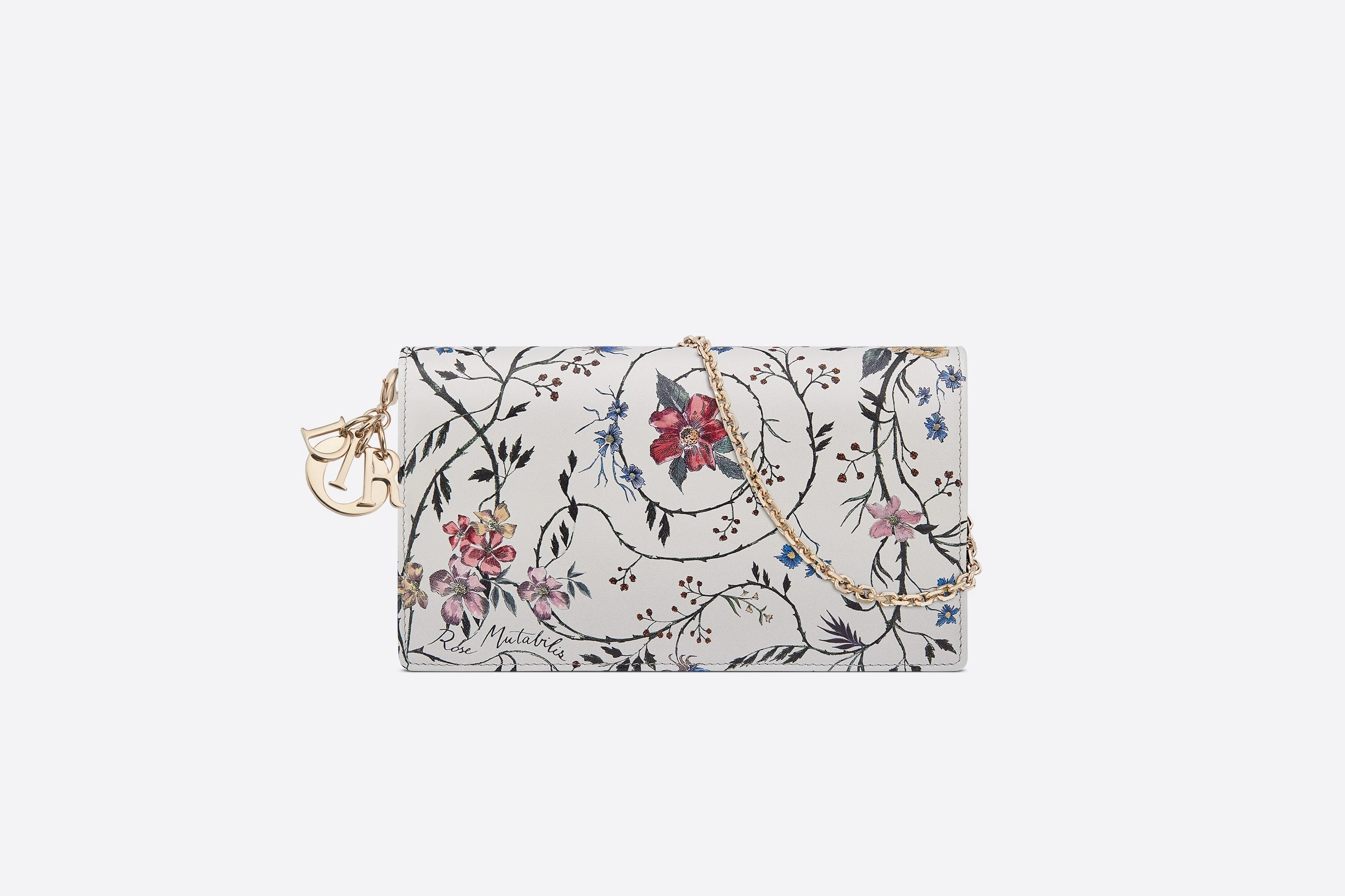 Lady Dior Pouch - 1