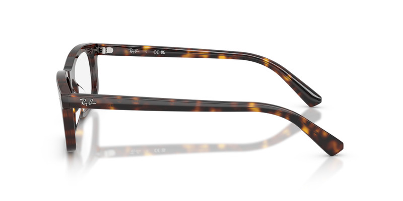 RB5450 OPTICS 5