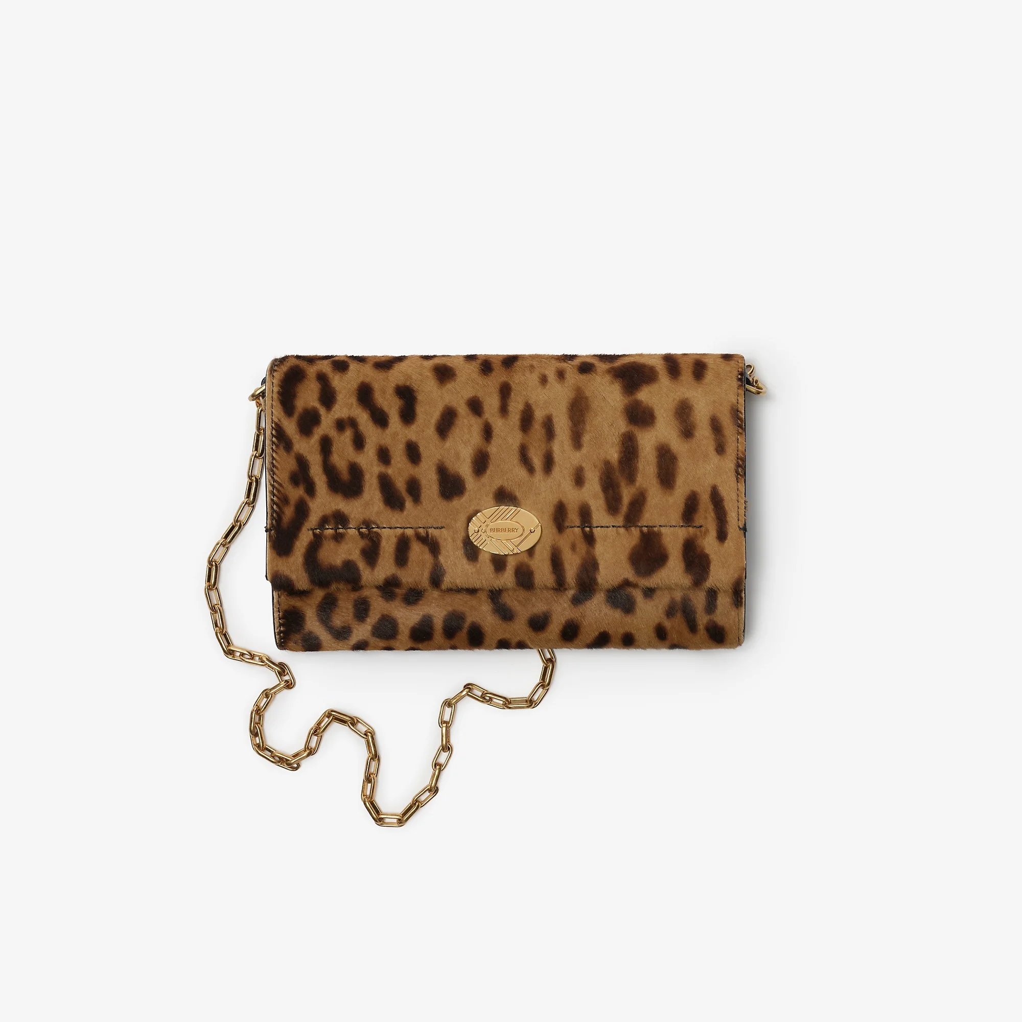Cotswolds Chain Strap Wallet - 1