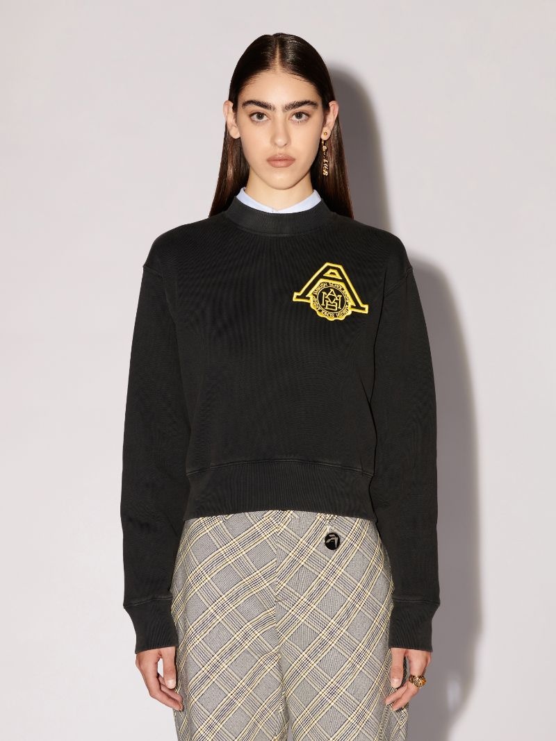 Ambush Scholarship Cropped Sweatshirt - 3