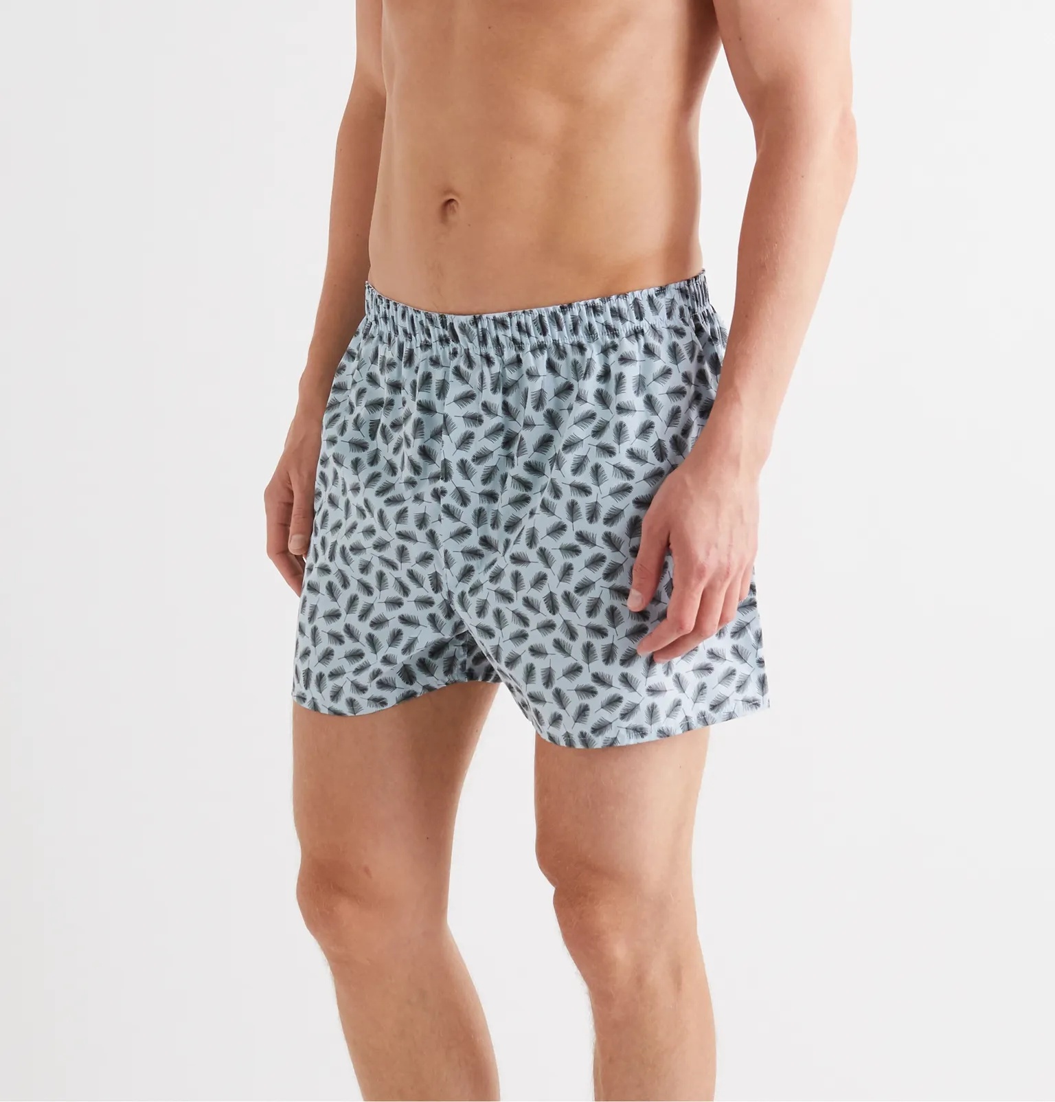 Printed Cotton Boxer Shorts - 10