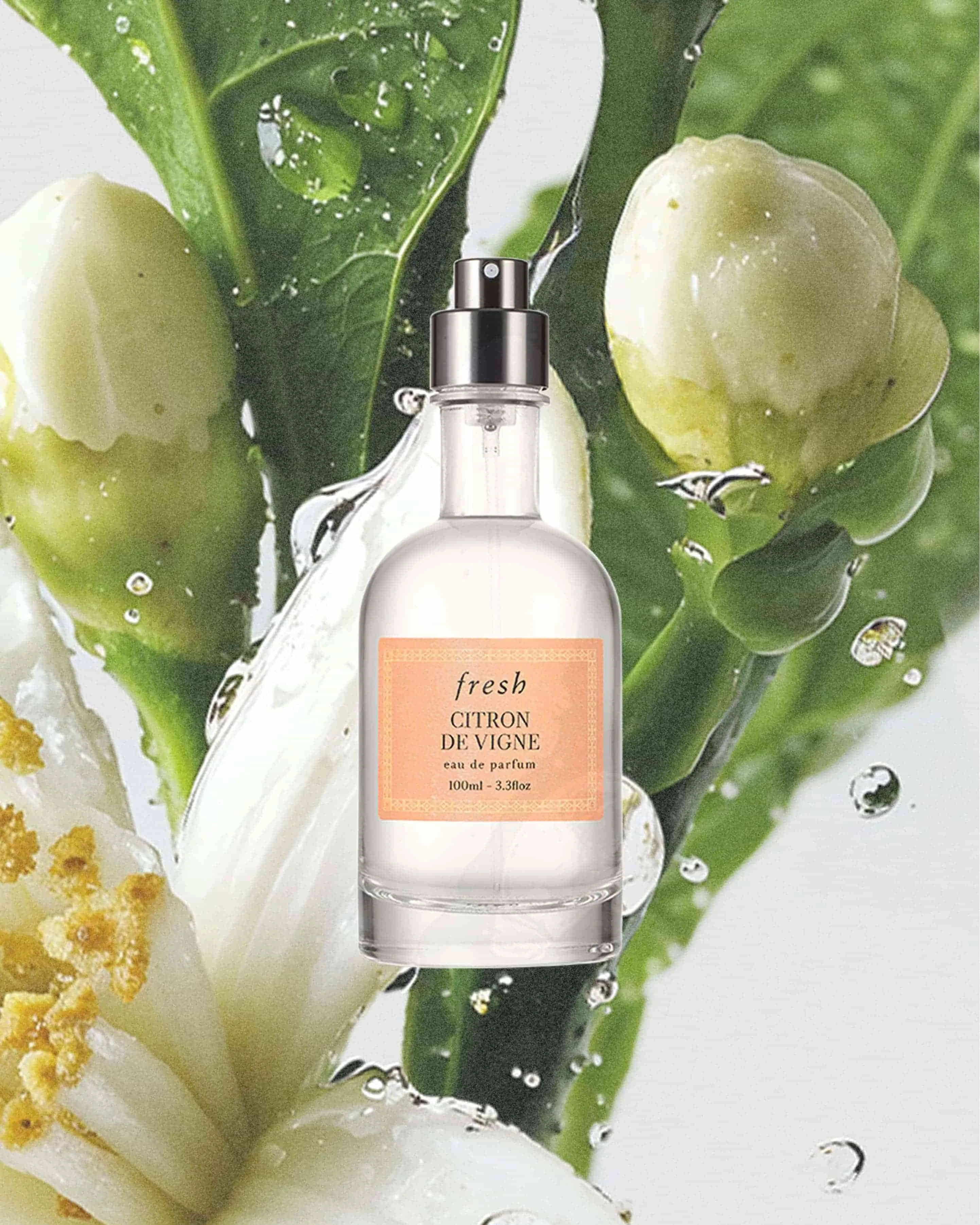 citron de vigne eau de parfum - 1