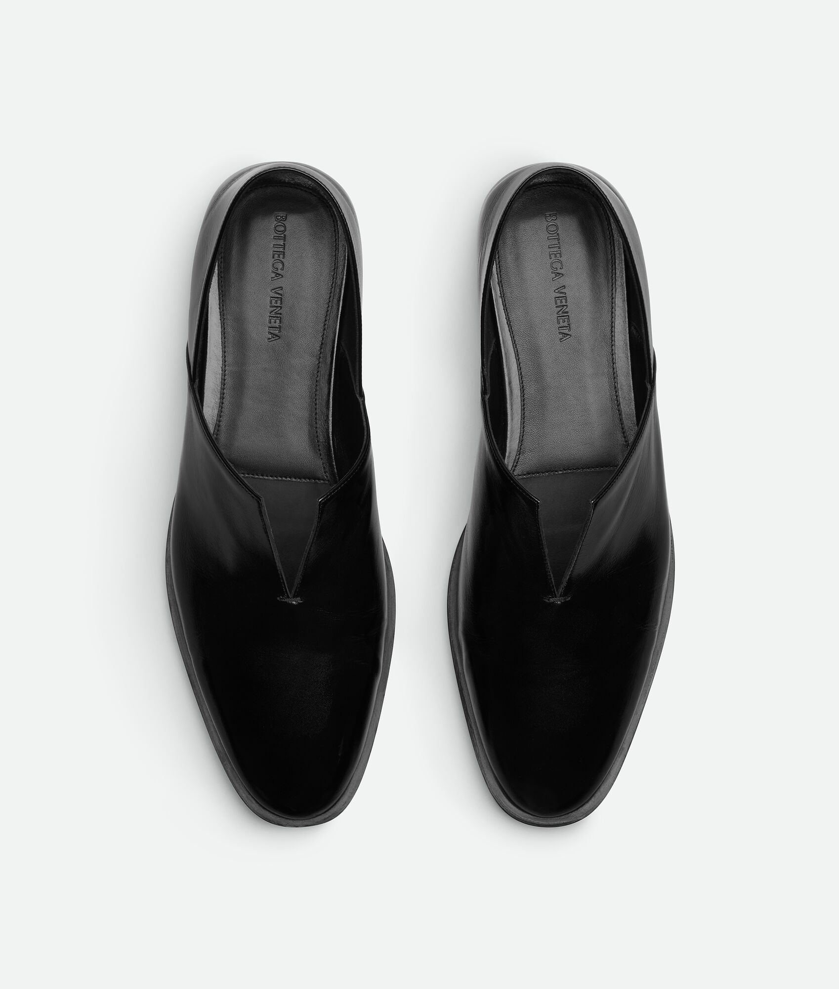 Cha-Cha Slipper - 5