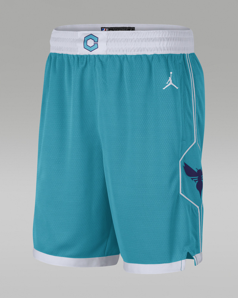 Men's Hornets Icon Edition 2020 Jordan NBA Swingman Shorts - 1