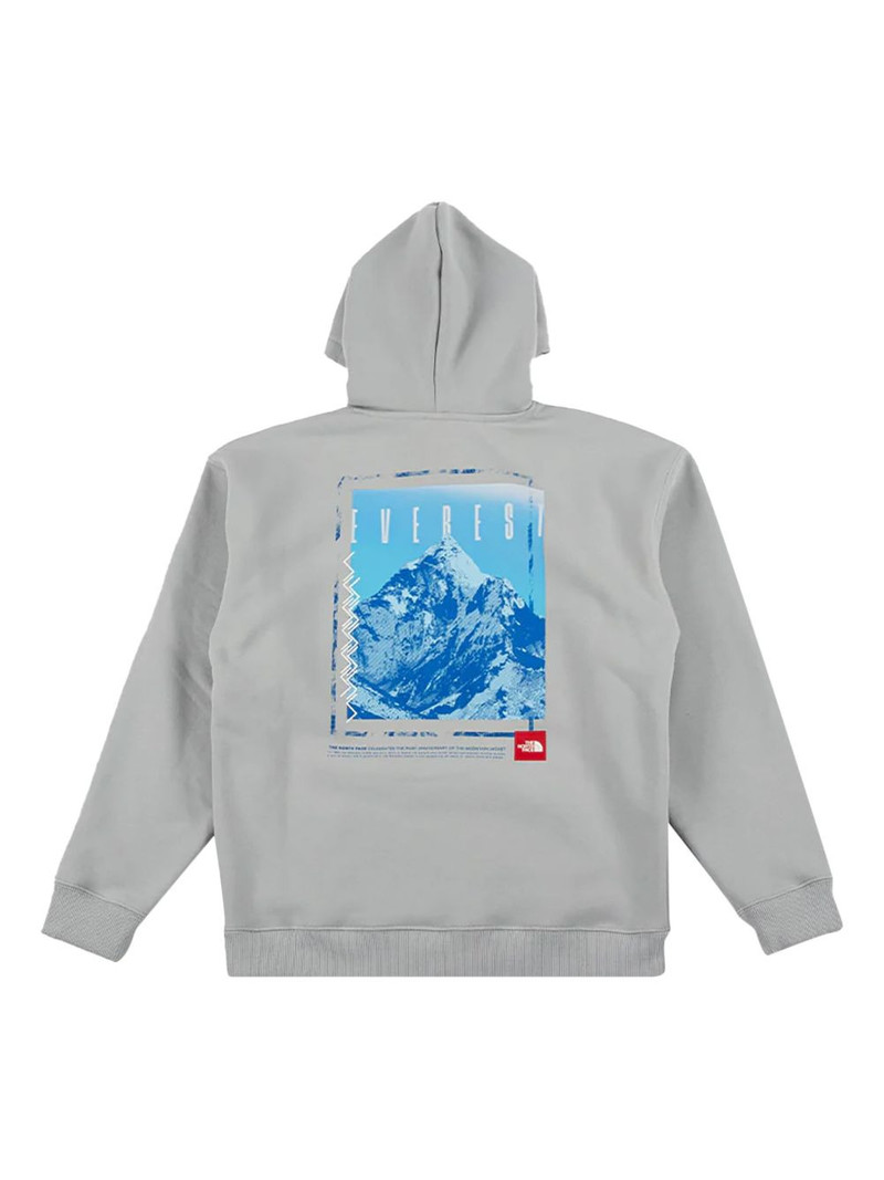 The North Face Mount Everest-graphic hoodie outlook