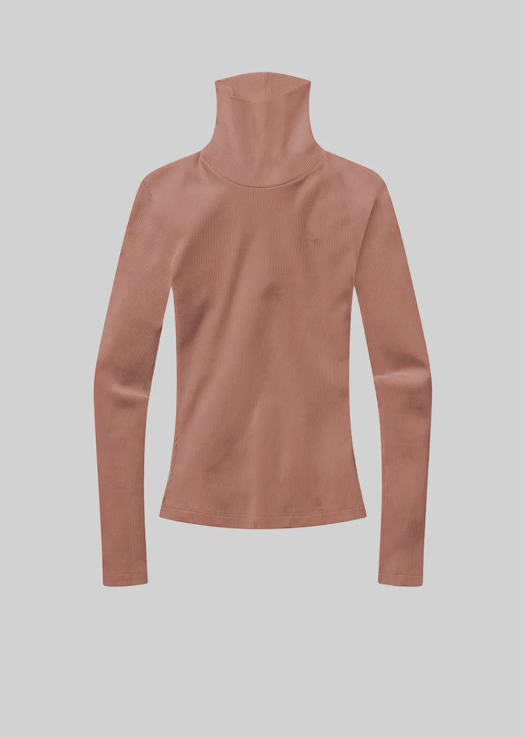 Caradene Turtleneck
In Moth - 1