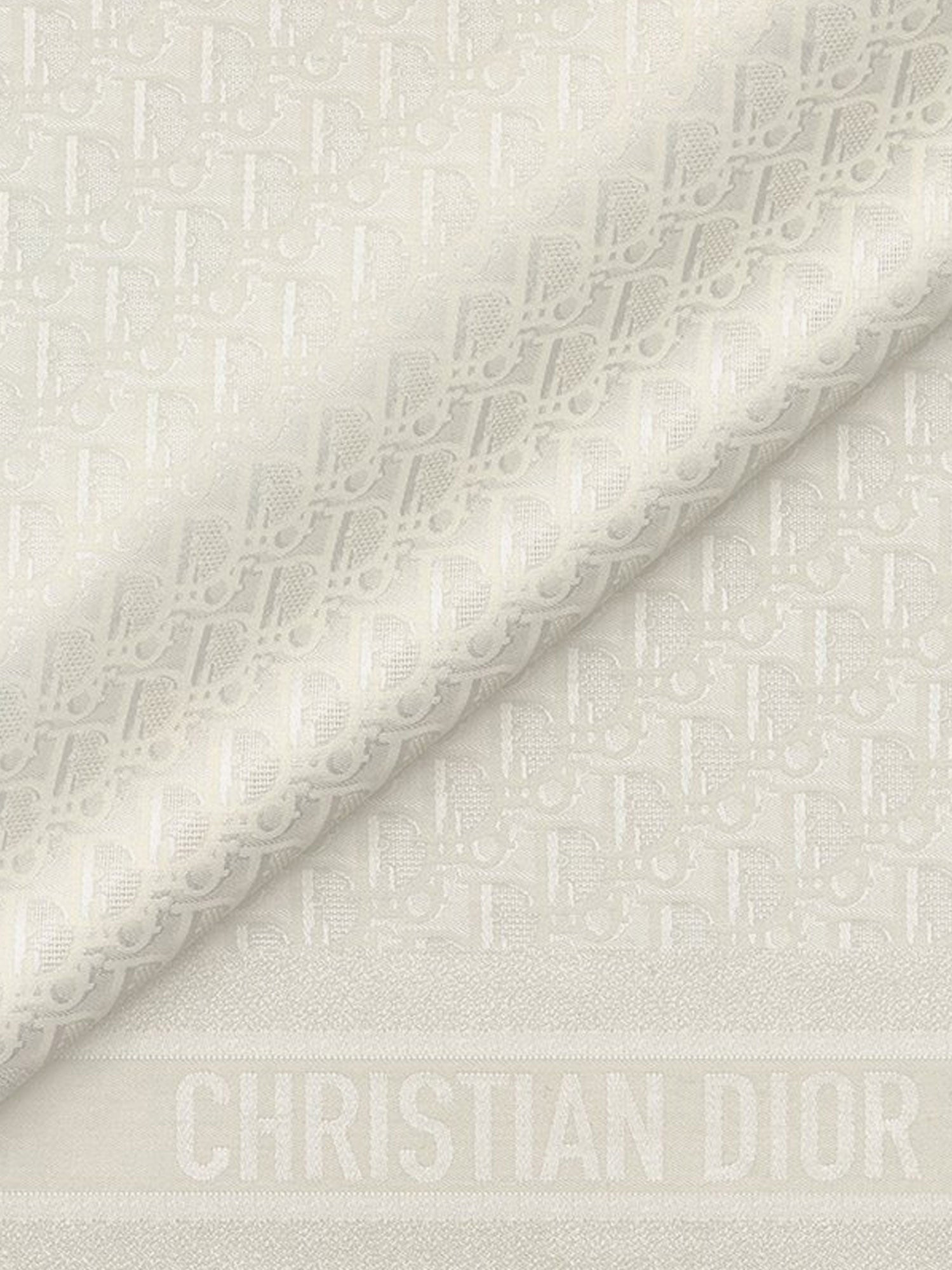 Dior Dior Oblique Cashmere And Silk Shawl - 2