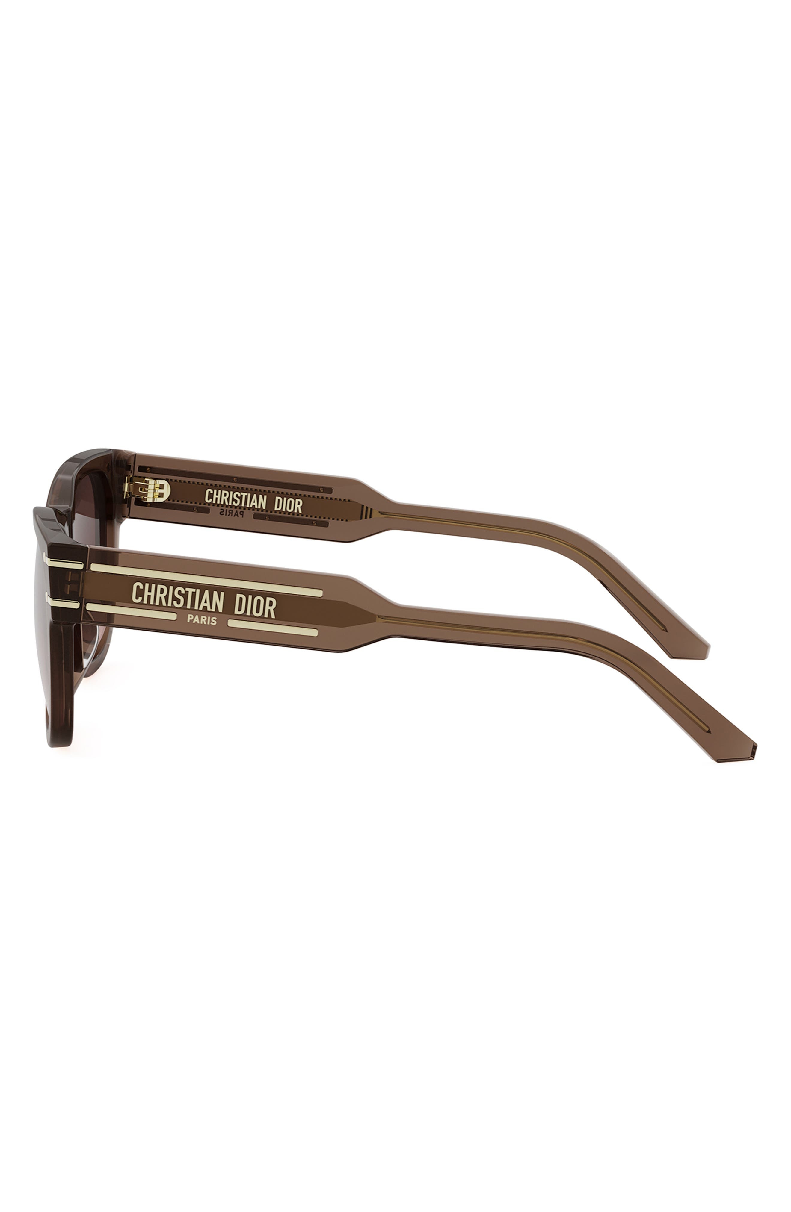 'DiorSignature S6U 54mm Butterfly Sunglasses in Shiny Light Brown /Roviex at Nordstrom - 7