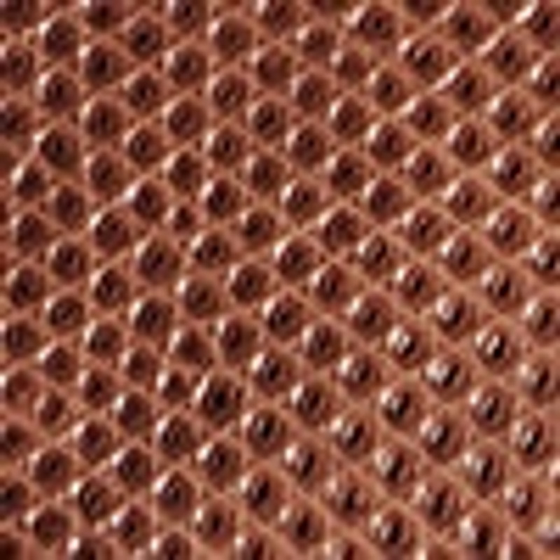 CC Holder Necklace in Lizard 3