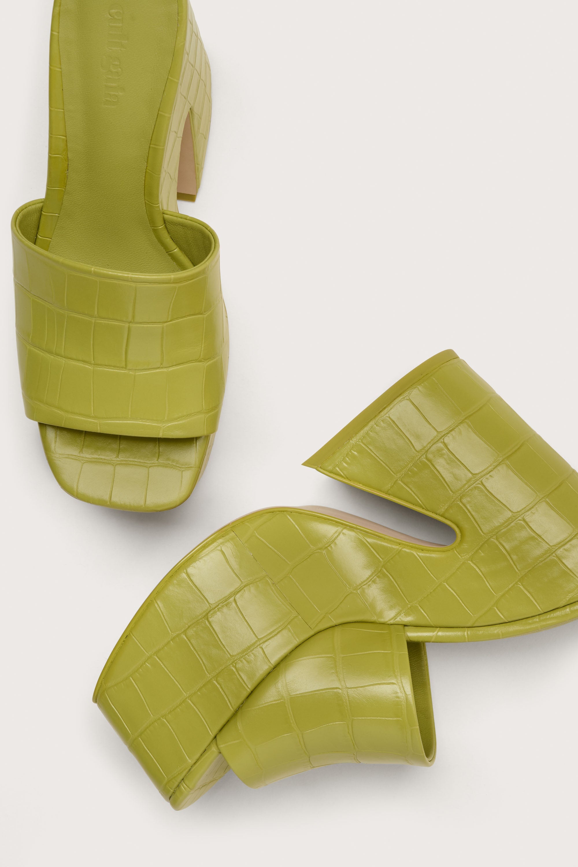 DARIA PLATFORM - 4