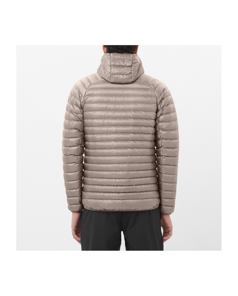 SALOMON ELIXIR MICRO DOWN outlook