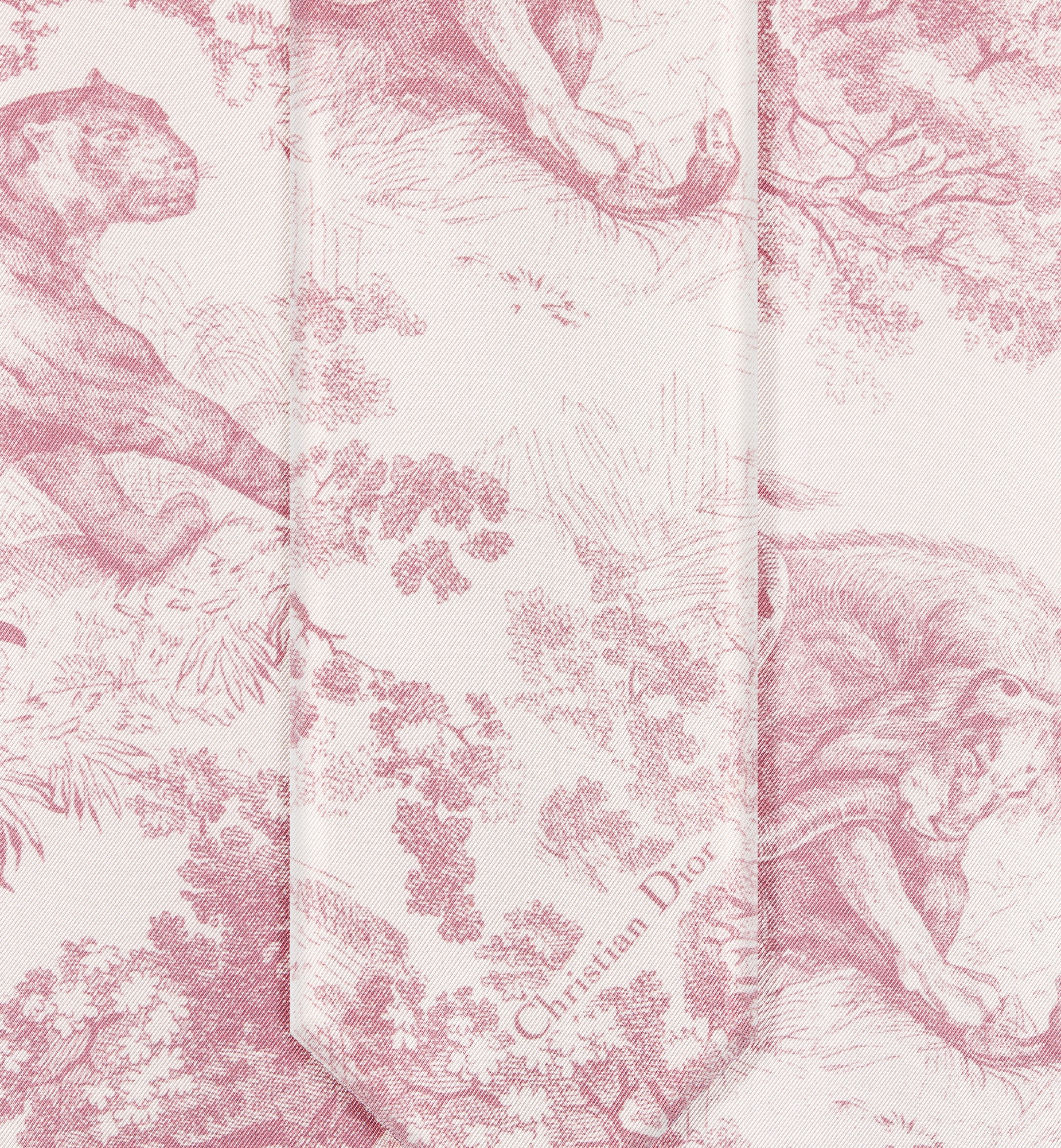 Dioriviera Maxi Toile de Jouy Sauvage Mitzah Scarf - 5