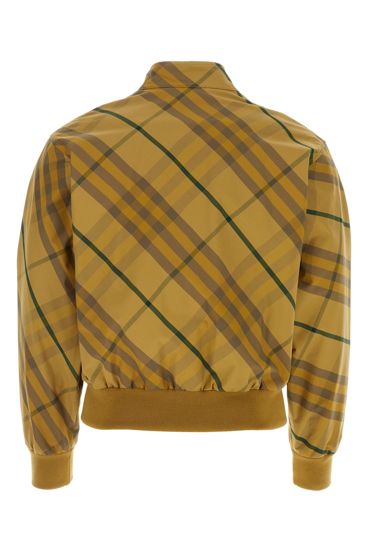 Embroidered cotton bomber jacket - 2