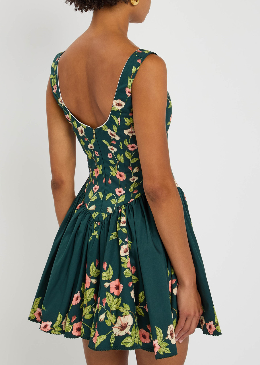 Agua BY Agua Bendita Pluma Mosquetero Floral-print Cotton Mini Dress - 3